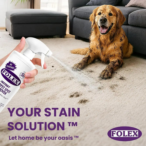 FOLEX Instant Carpet Spot Remover 32 oz – Powerful Stain Remover for Carpets, Upholstery & Rugs – Eliminates Pet Stains, Grease, Red Wine, Food, Makeup & More – With Reusable Cleaning Cloth - 6 Pack